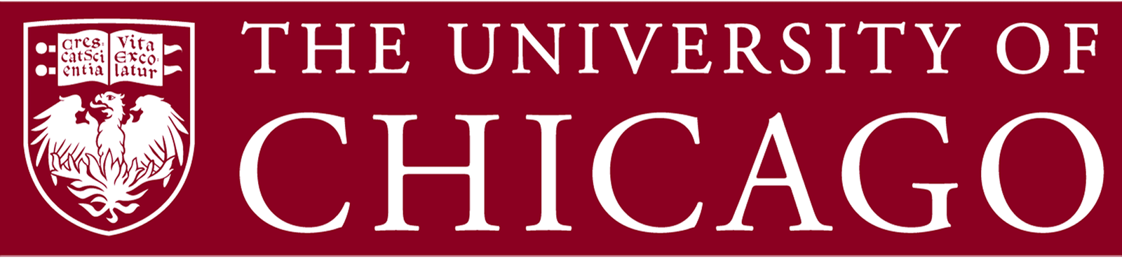 The University of Chicago